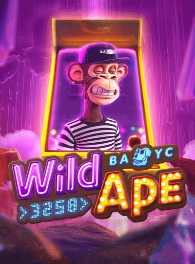 kc6666