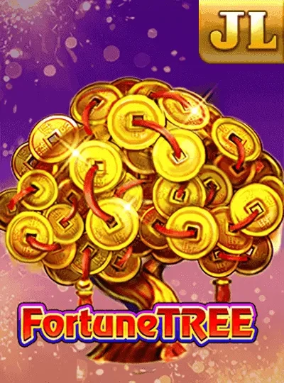 kc6666 kc6666